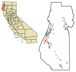 Loleta, California