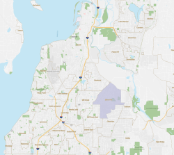 Silver Firs, Washington